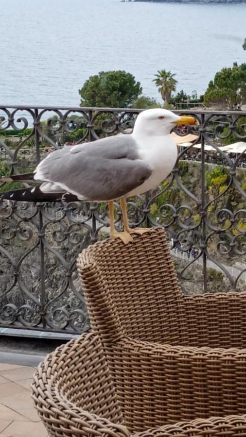 Alla Porta Rossa Manarola Luaran gambar